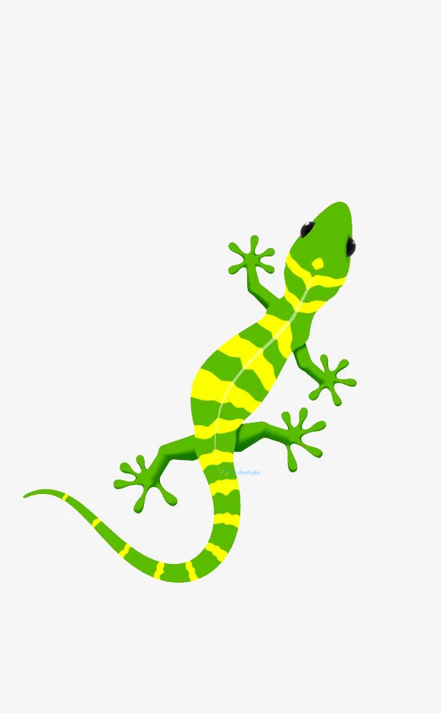 Hình nền Thằn Lằn cho điện thoại