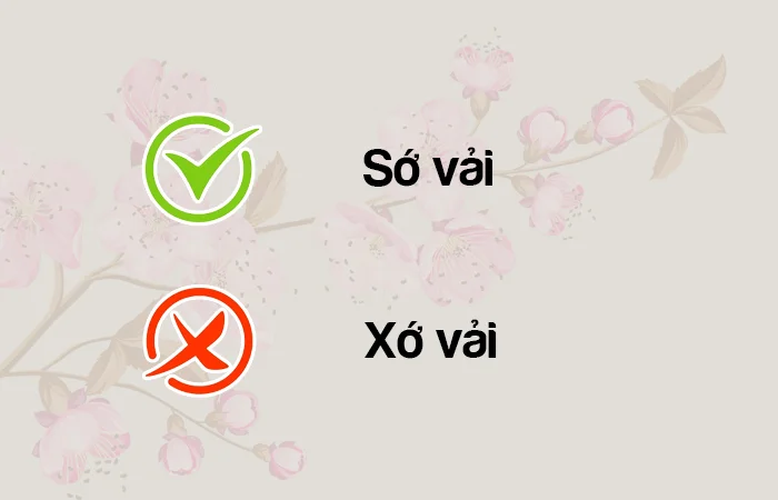 Sớ vải hay Xớ vải