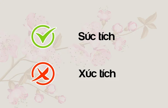 Súc tích hay Xúc tích