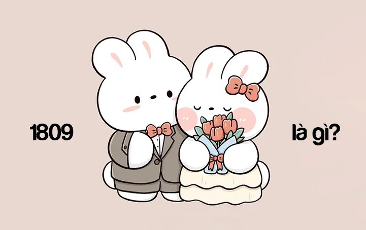 1809 là gì? Ý nghĩa của con số 1809