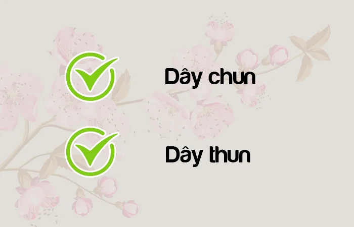 Dây chun hay Dây thun