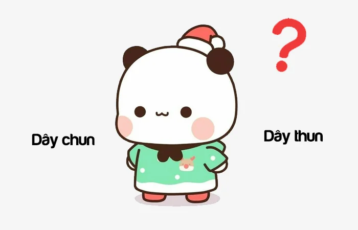 Dây chun hay Dây thun từ nào viết đúng?