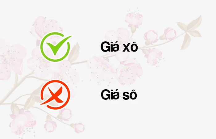 Giá xô hay Giá sô từ nào viết đúng?