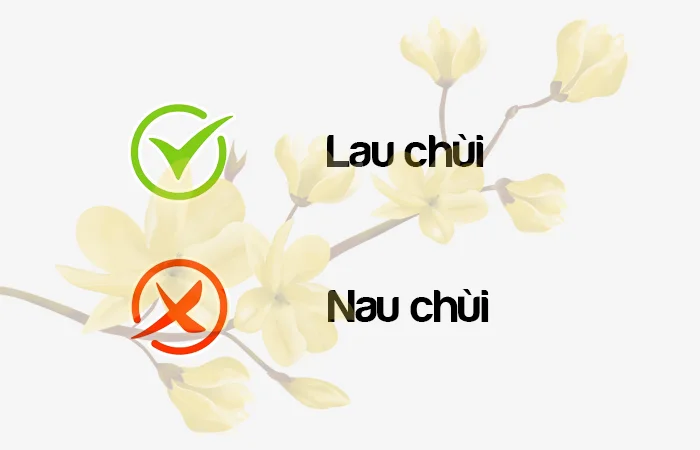 Lau chùi hay Nau chùi từ nào viết đúng?
