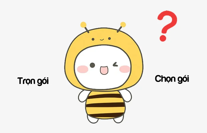 Chọn gói hay Trọn gói từ nào đúng chính tả?