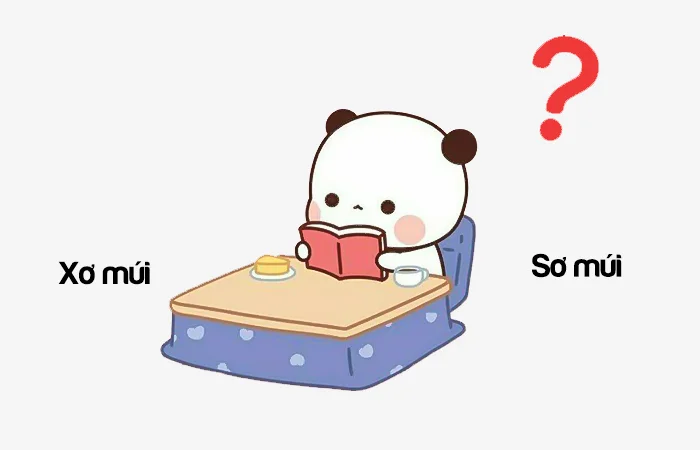 Xơ múi hay Sơ múi từ nào viết đúng?