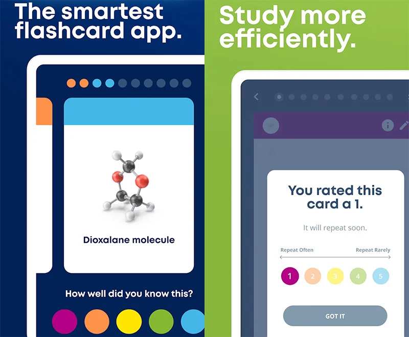 Brainscape – Flashcards for Kids