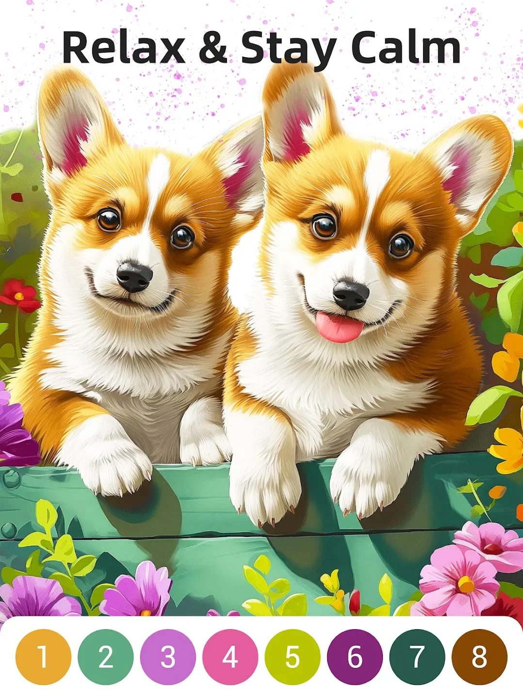 Super Color – Paint by Number