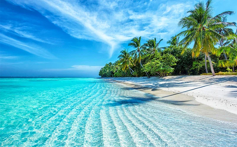 25+ Bãi biển đẹp nhất Việt Nam