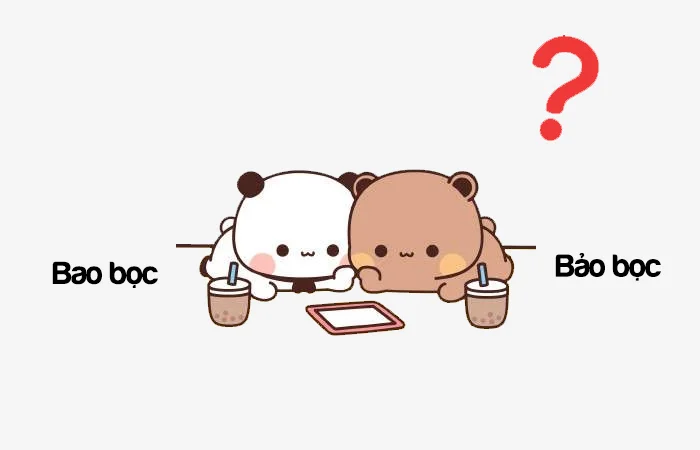 Bao bọc hay Bảo bọc