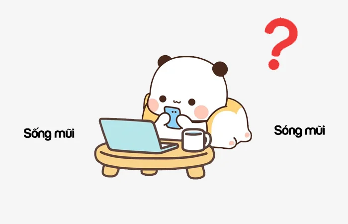 Sống mũi hay Sóng mũi từ nào đúng?