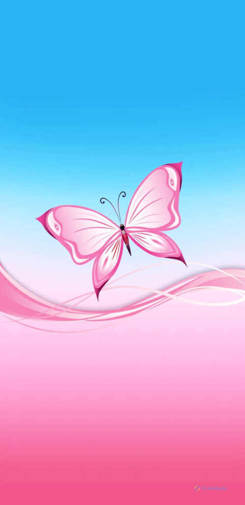 Hình nền điện thoại con bướm hồng