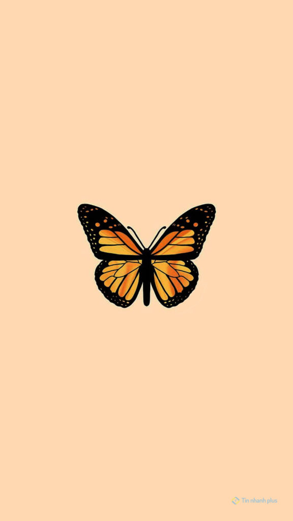 Hình nền điện thoại con bướm vàng