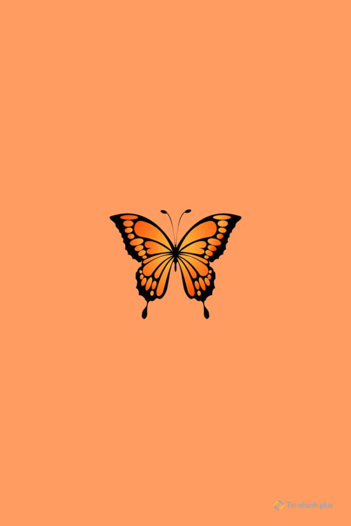 Hình nền điện thoại con bướm vàng
