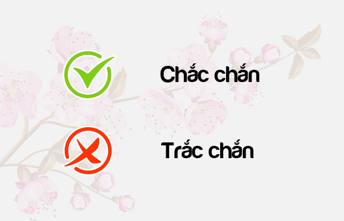 Chắc chắn hay Trắc chắn