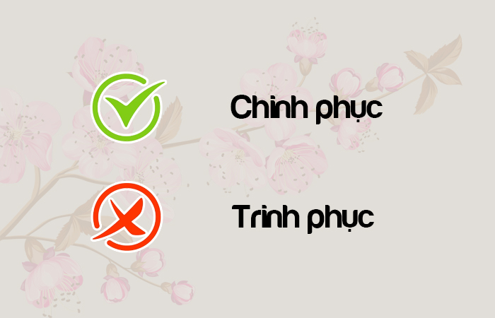 Chinh phục hay Trinh phục