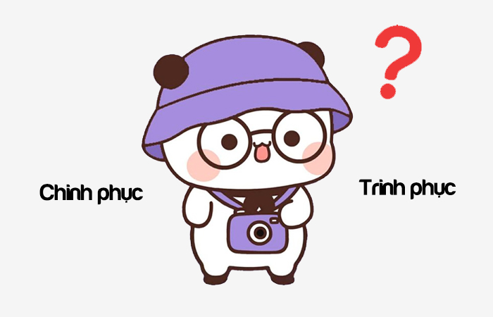 Chinh phục hay Trinh phục